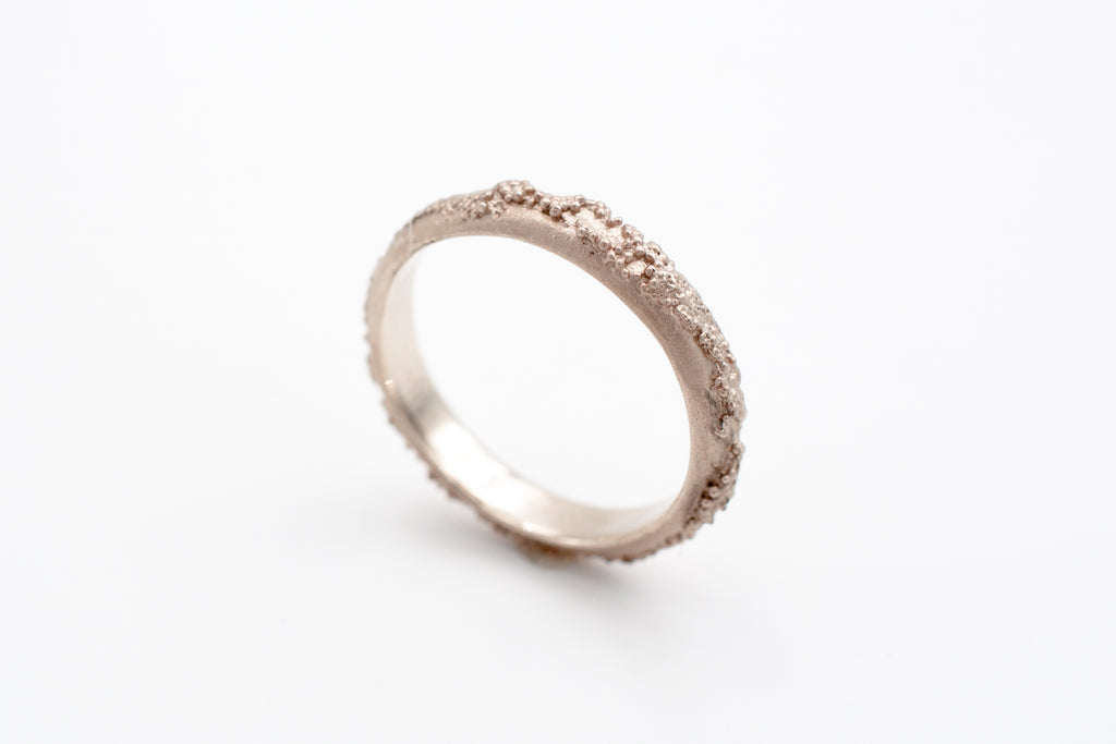 Ring Weltenbummler image 4