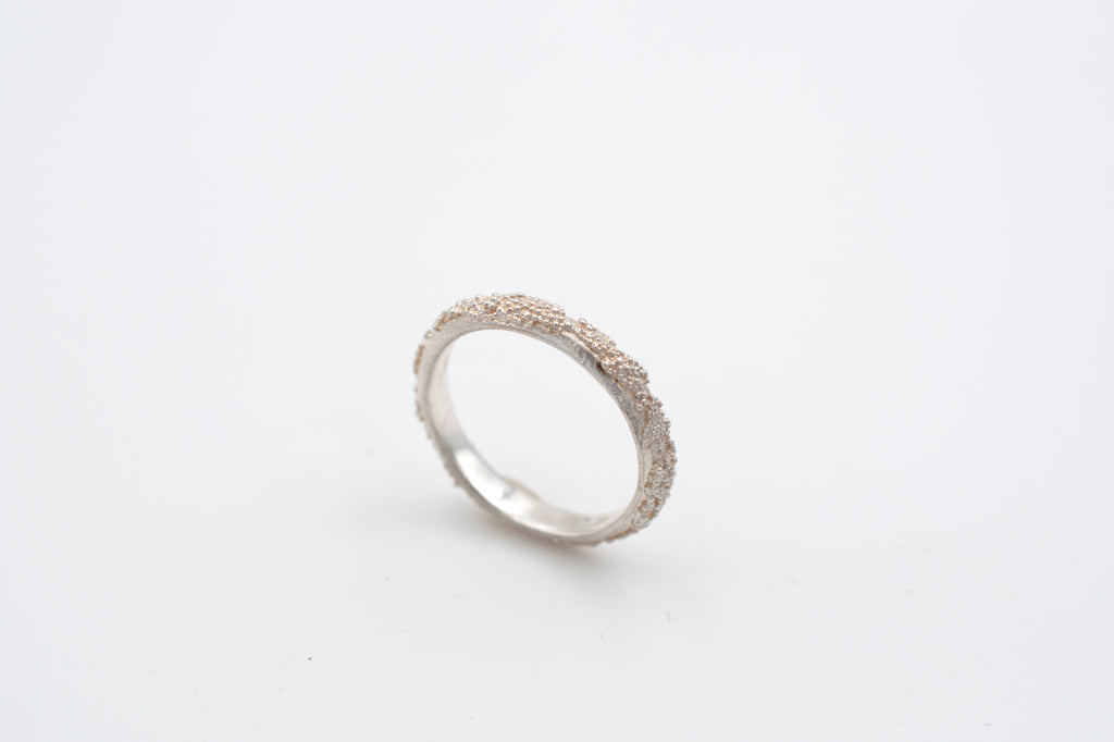 Ring Weltenbummler image 1