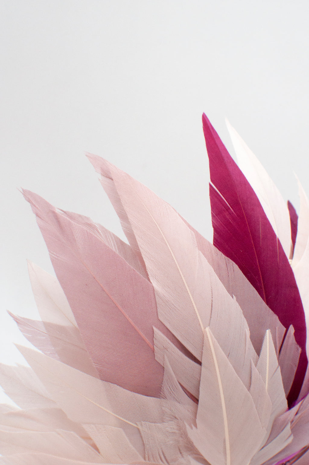 Fascinator - Dahlie image 7