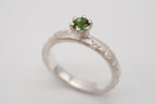 Ring Weltenbummler - Canberra image 4