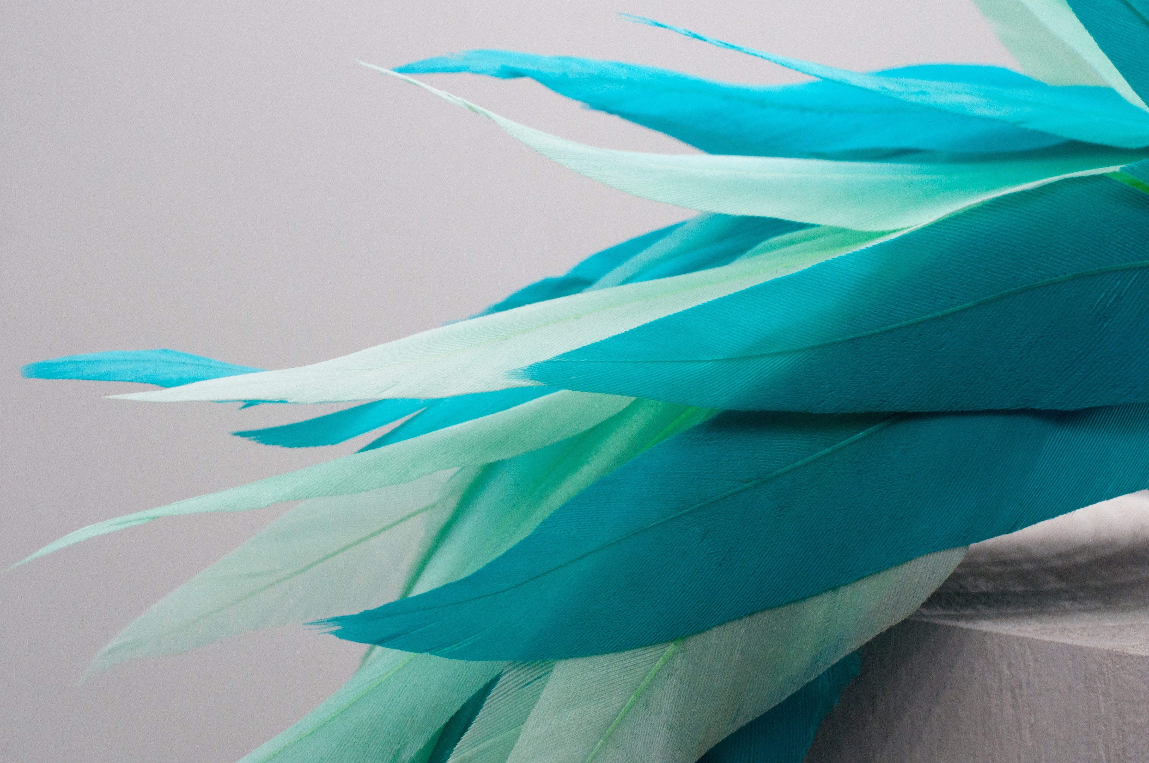 Fascinator - Haarreifen image 4