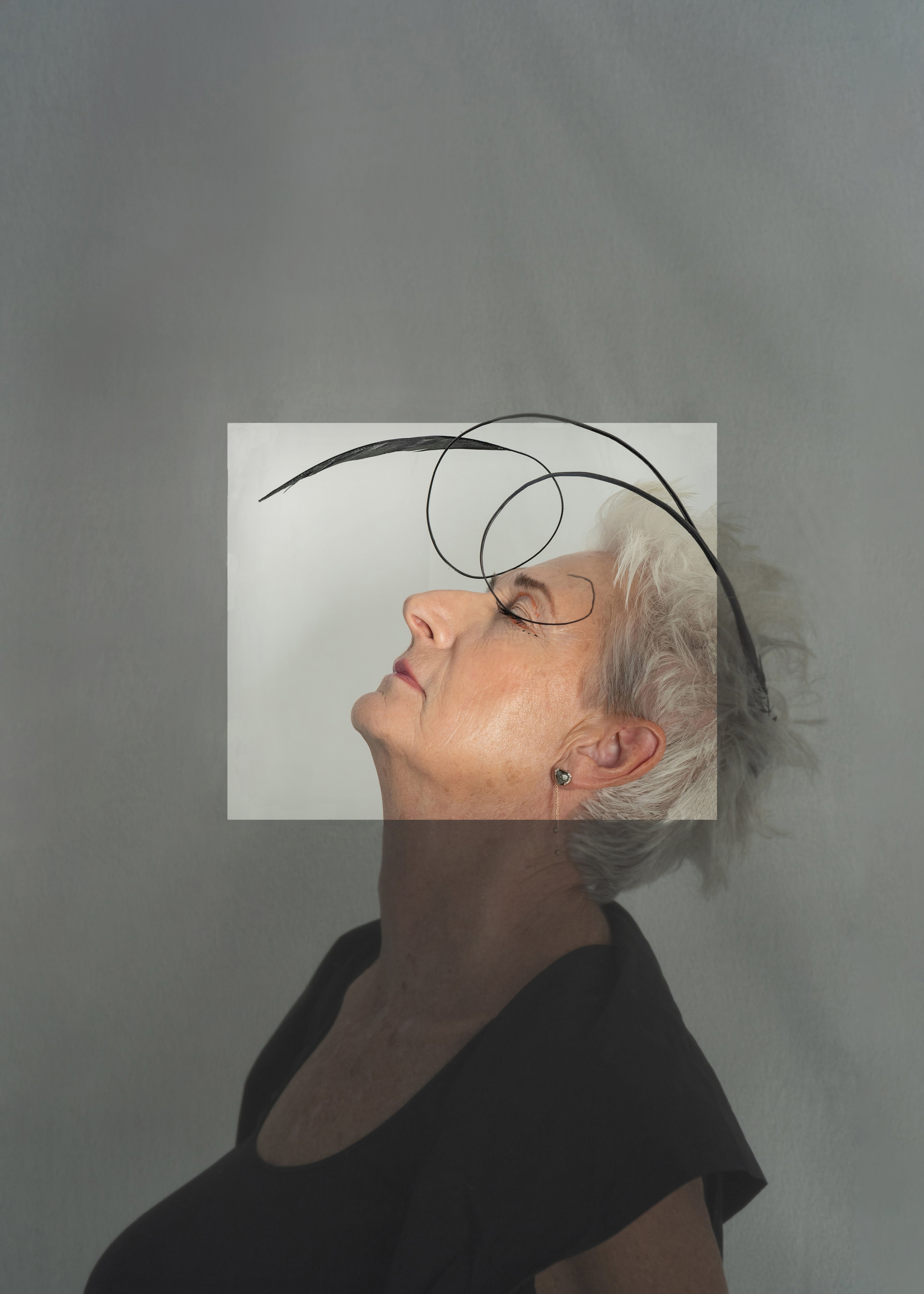 Fascinator - Federkiele image 0