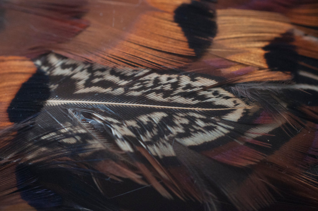 Haarreifen mit Fasanfedern image 4