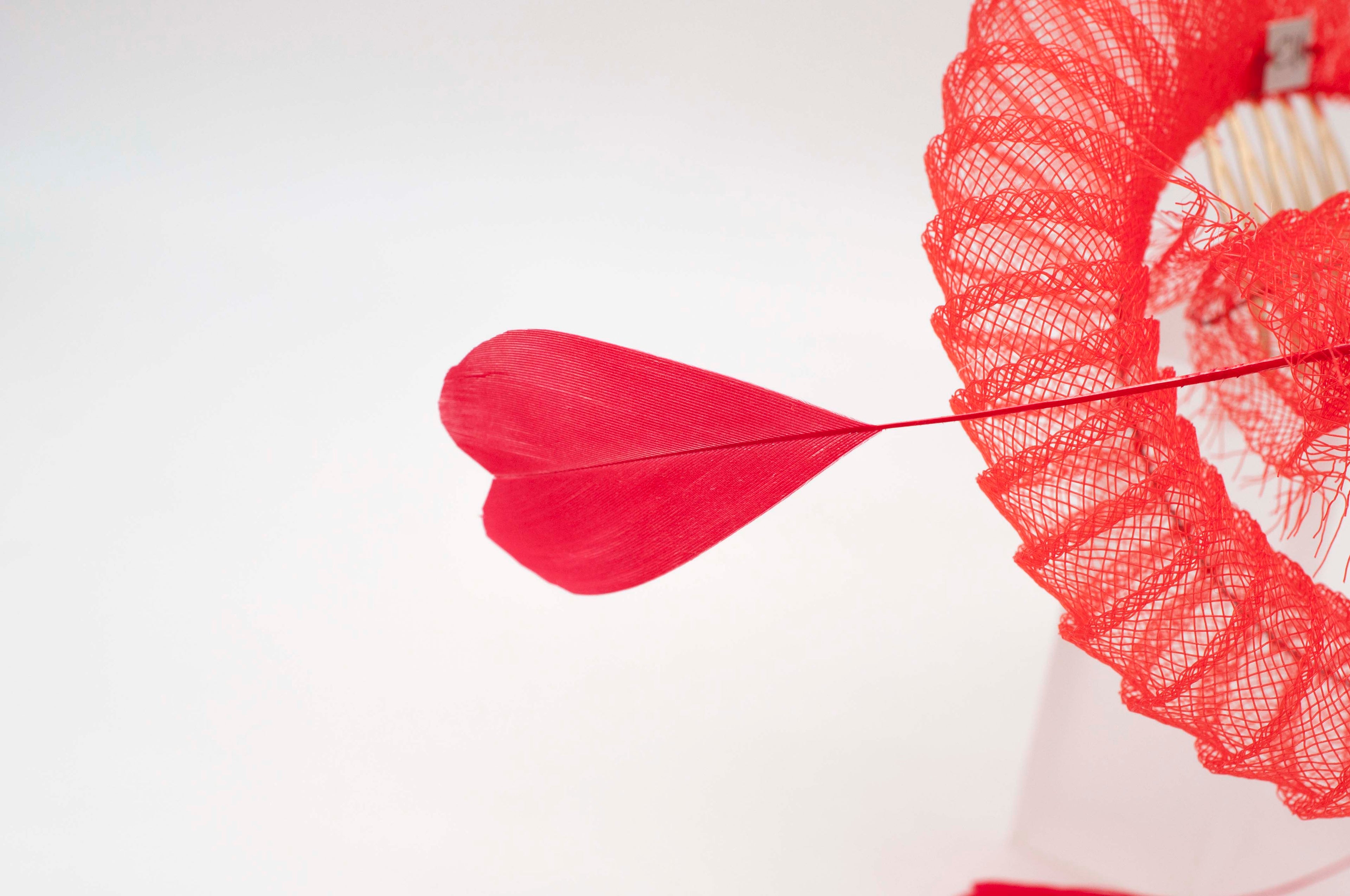 Rote Herzschnecke image 3