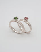 Ring Weltenbummler - Canberra image 3