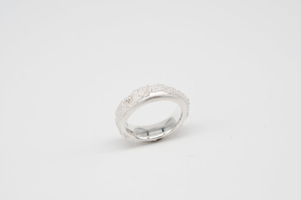 Ring Weltenbummler II image 7