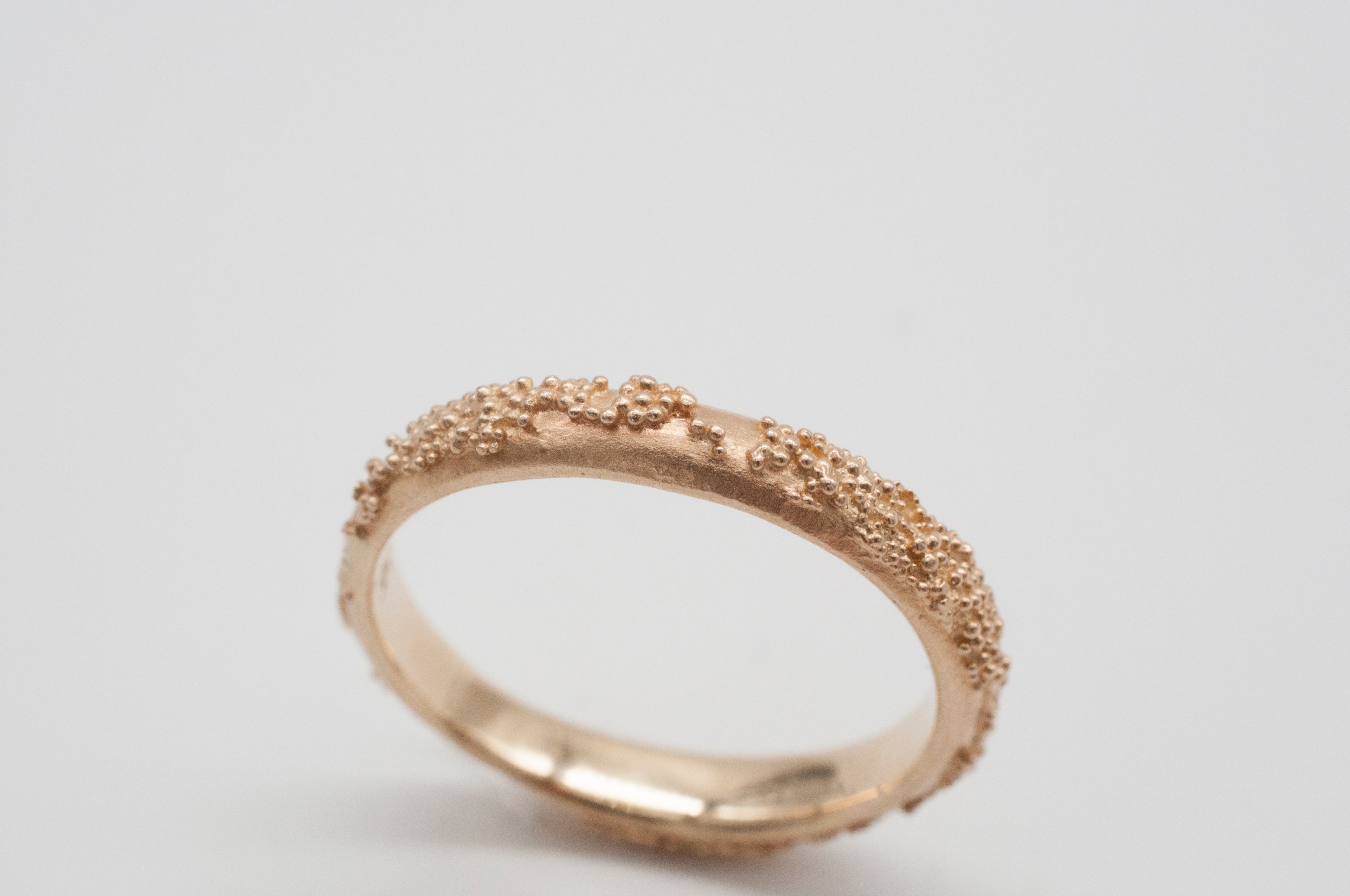 Ring Weltenbummler image 13