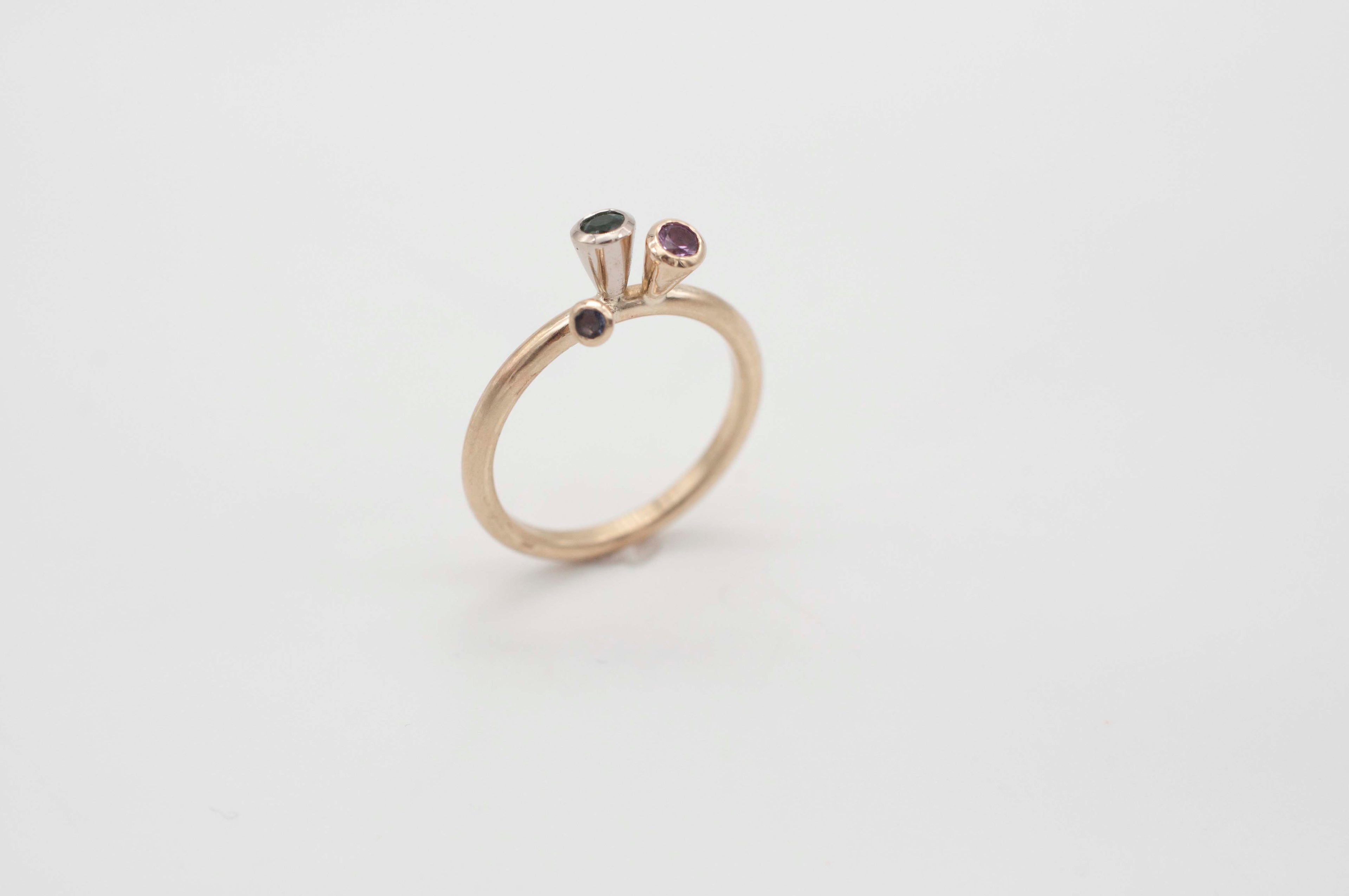 Tüten Ring - Apfel - Brombeere image 3