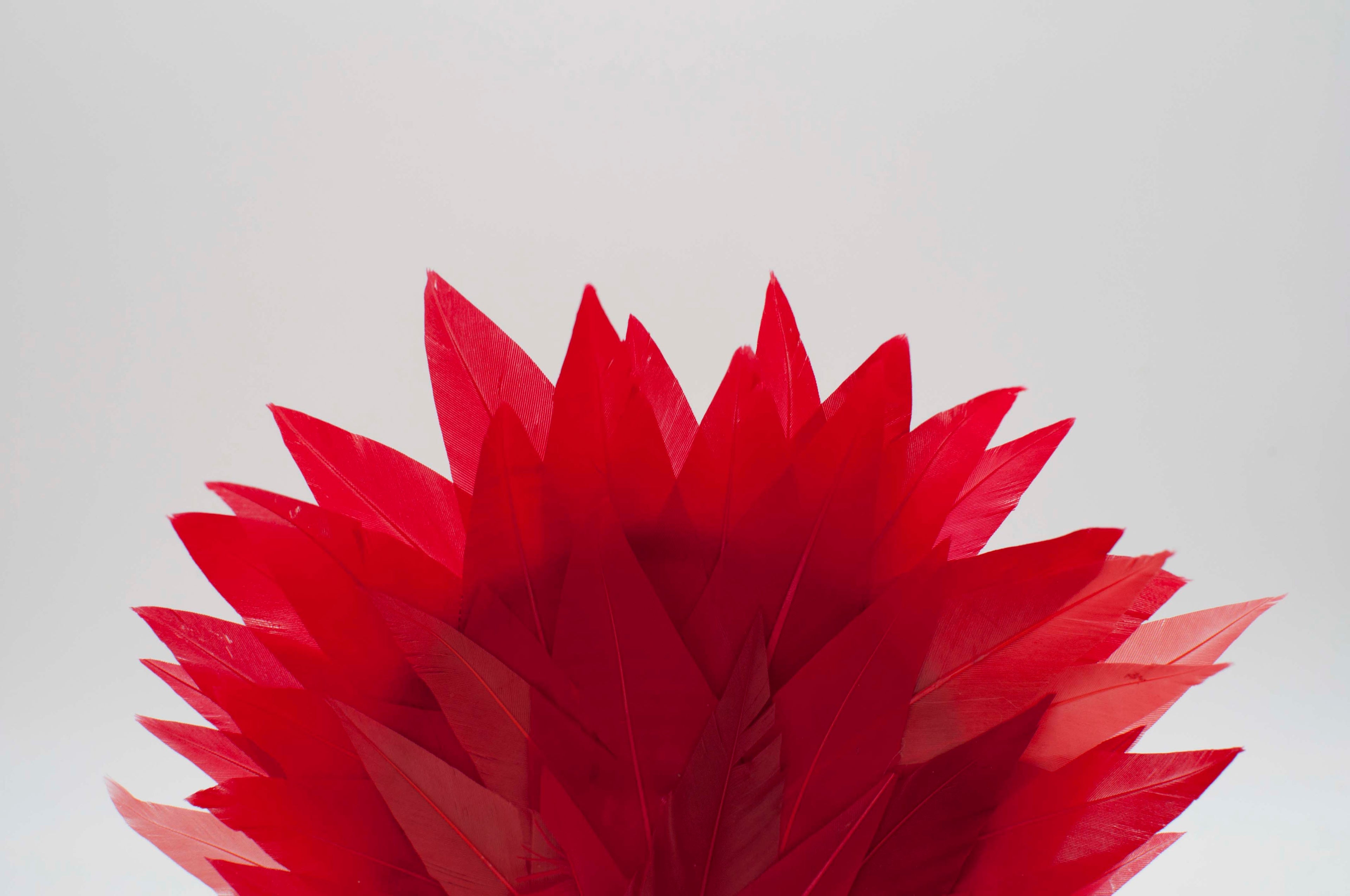 Fascinator - Federnflamme image 6