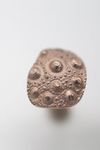 Seeigel-Ohrstecker image 2