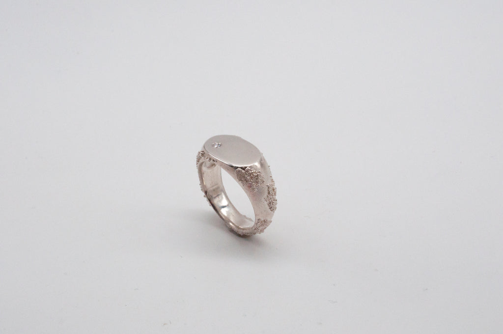 Ring Weltenbummler - Siegelring - Berlin image 14