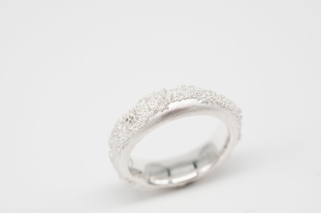 Ring Weltenbummler II image 2