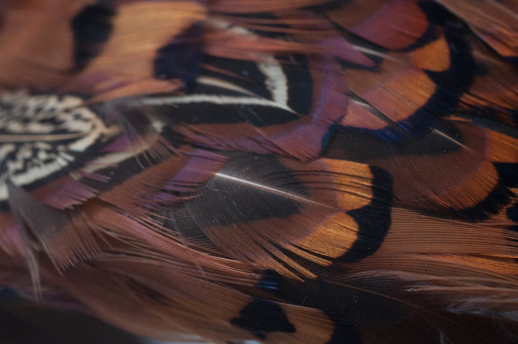 Haarreifen mit Fasanfedern image 1