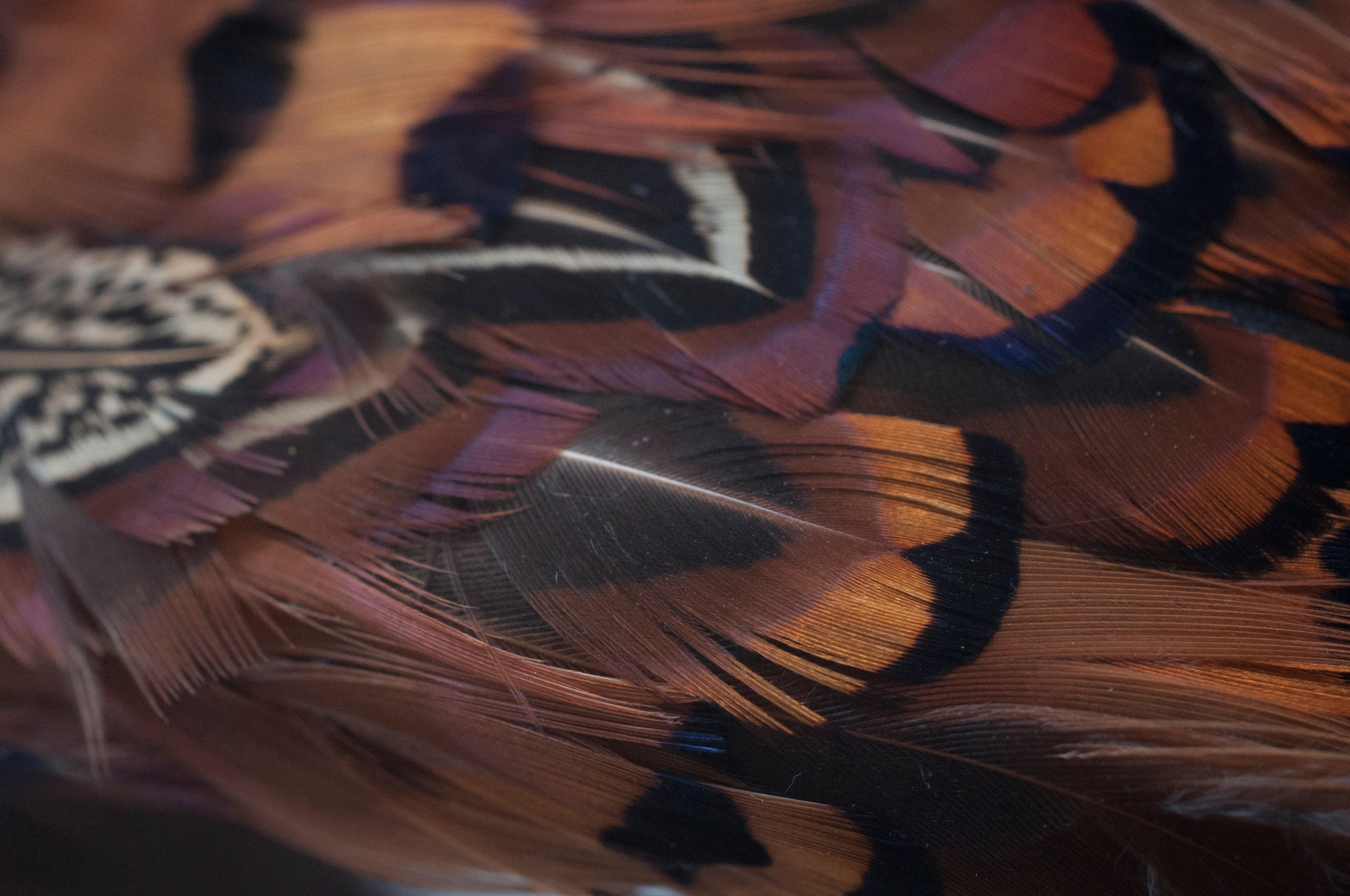 Haarreifen mit Fasanfedern image 1