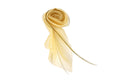 Der Lauf der Zeit-Pin image 0