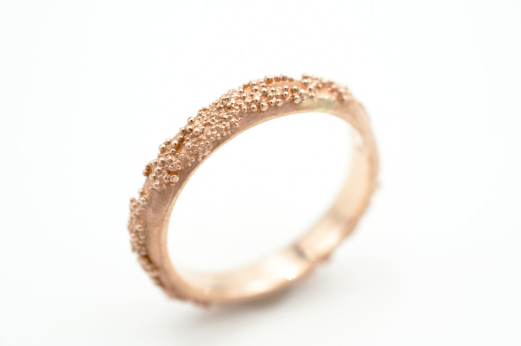 Eheringe - Weltenbummler image 1