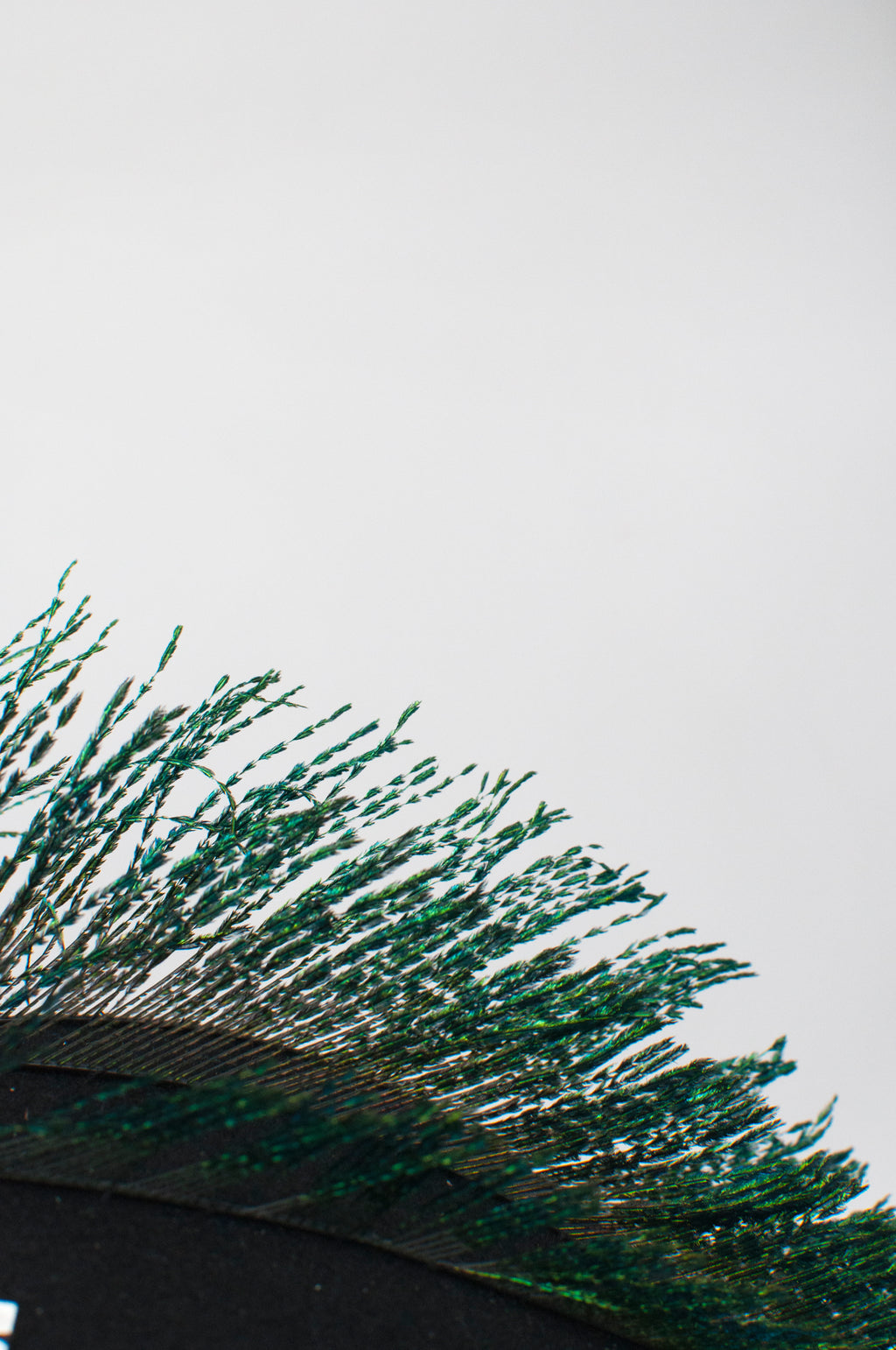 Fascinator - Punk image 1