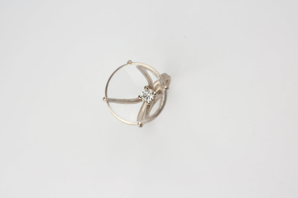Ring Illusion image 3