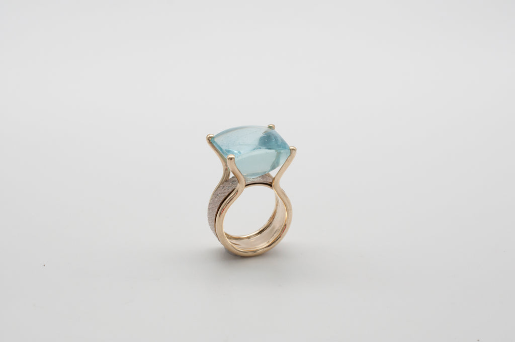 Ring Fischschwarm image 4