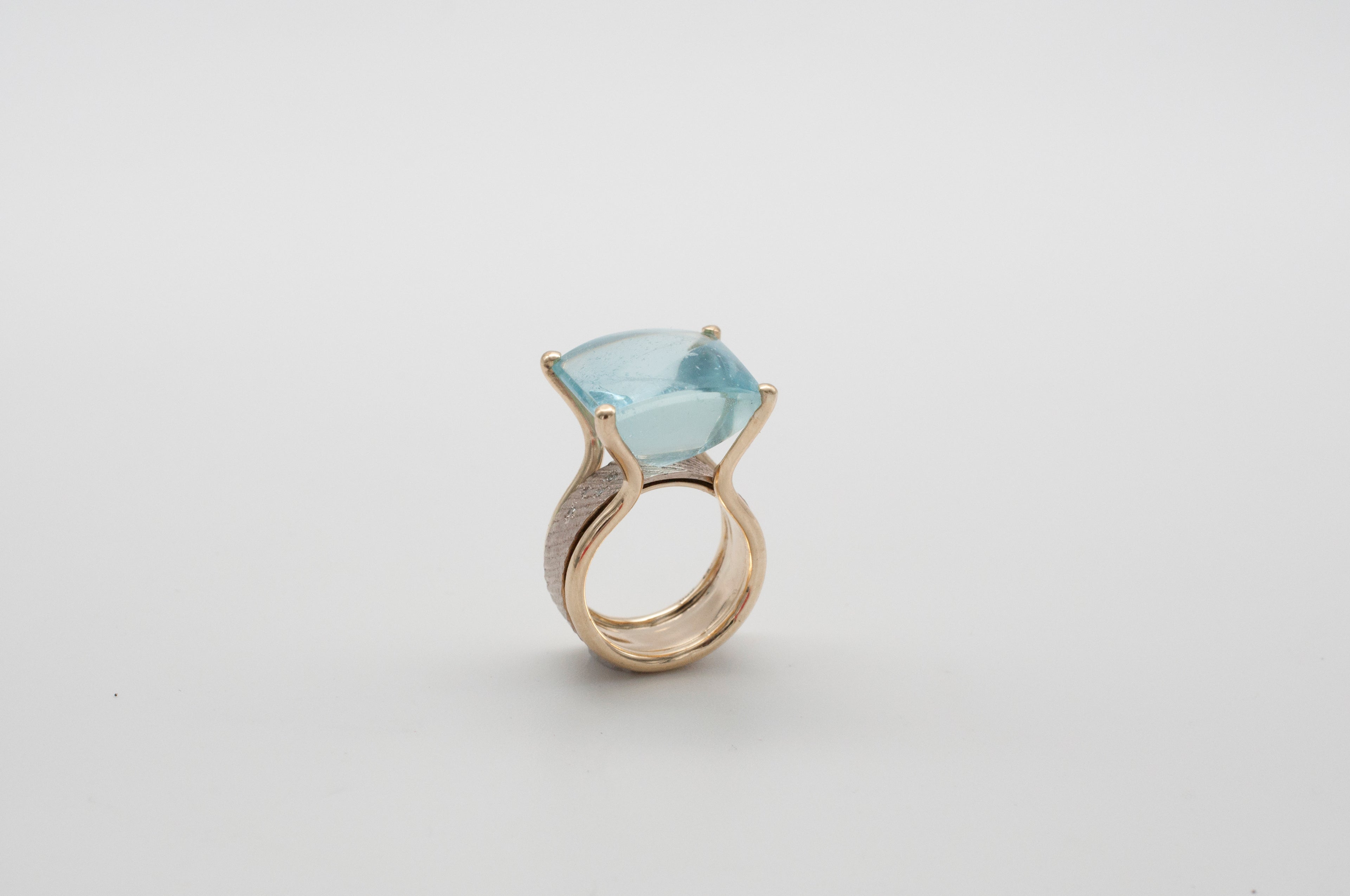 Ring Fischschwarm image 4