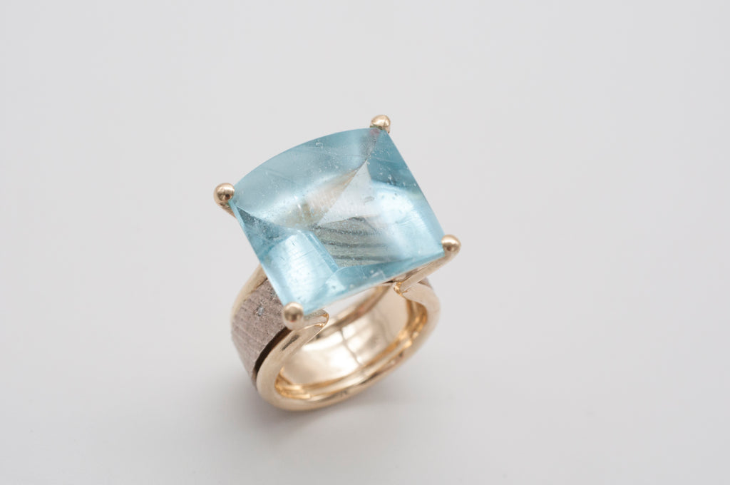 Ring Fischschwarm image 2