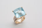 Ring Fischschwarm image 2