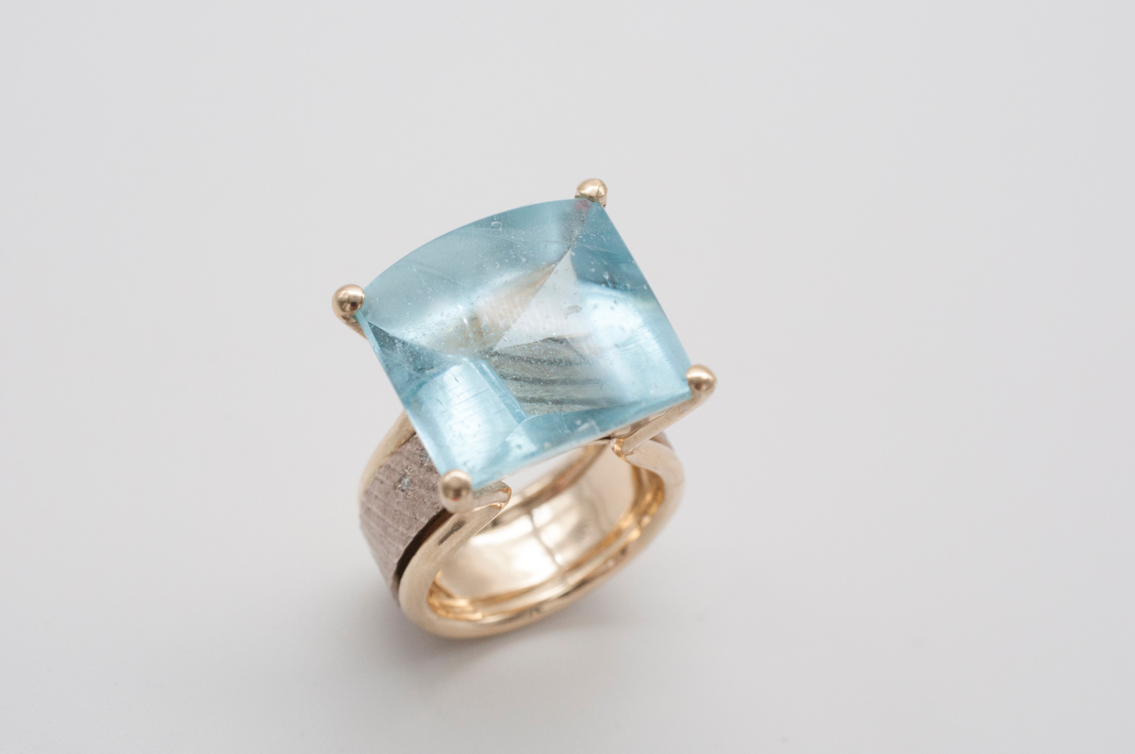 Ring Fischschwarm image 2