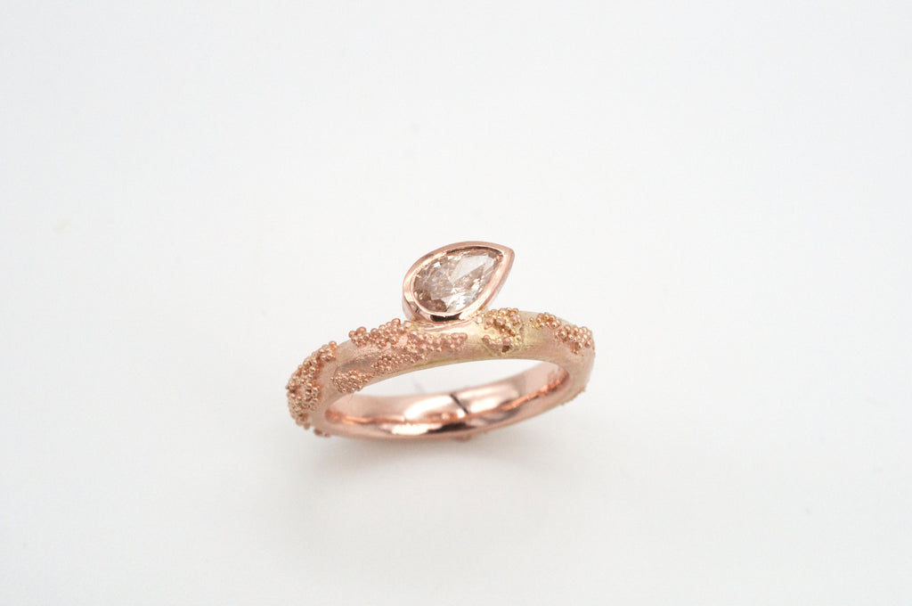 Ring Weltenbummler - Sydney image 0