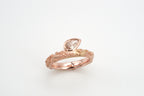 Ring Weltenbummler - Sydney image 0