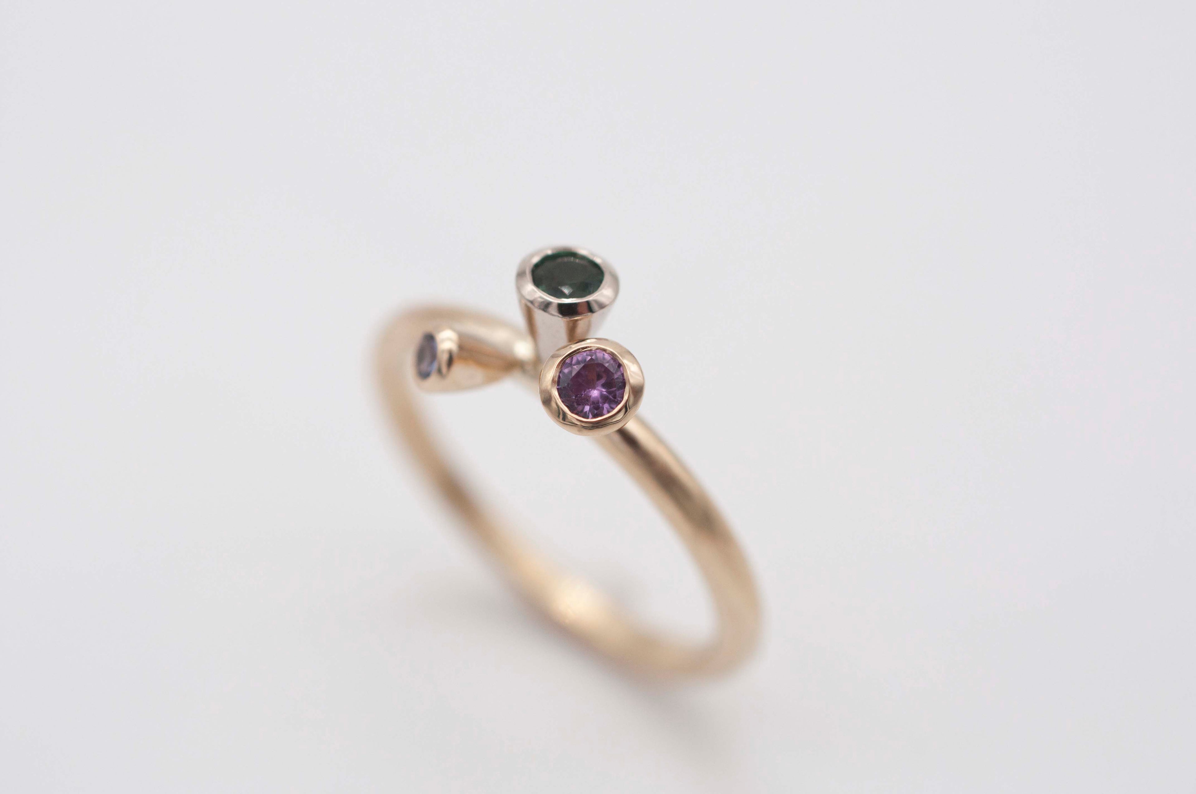 Tüten Ring - Apfel - Brombeere image 0