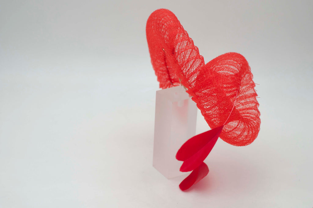 Rote Herzschnecke image 5