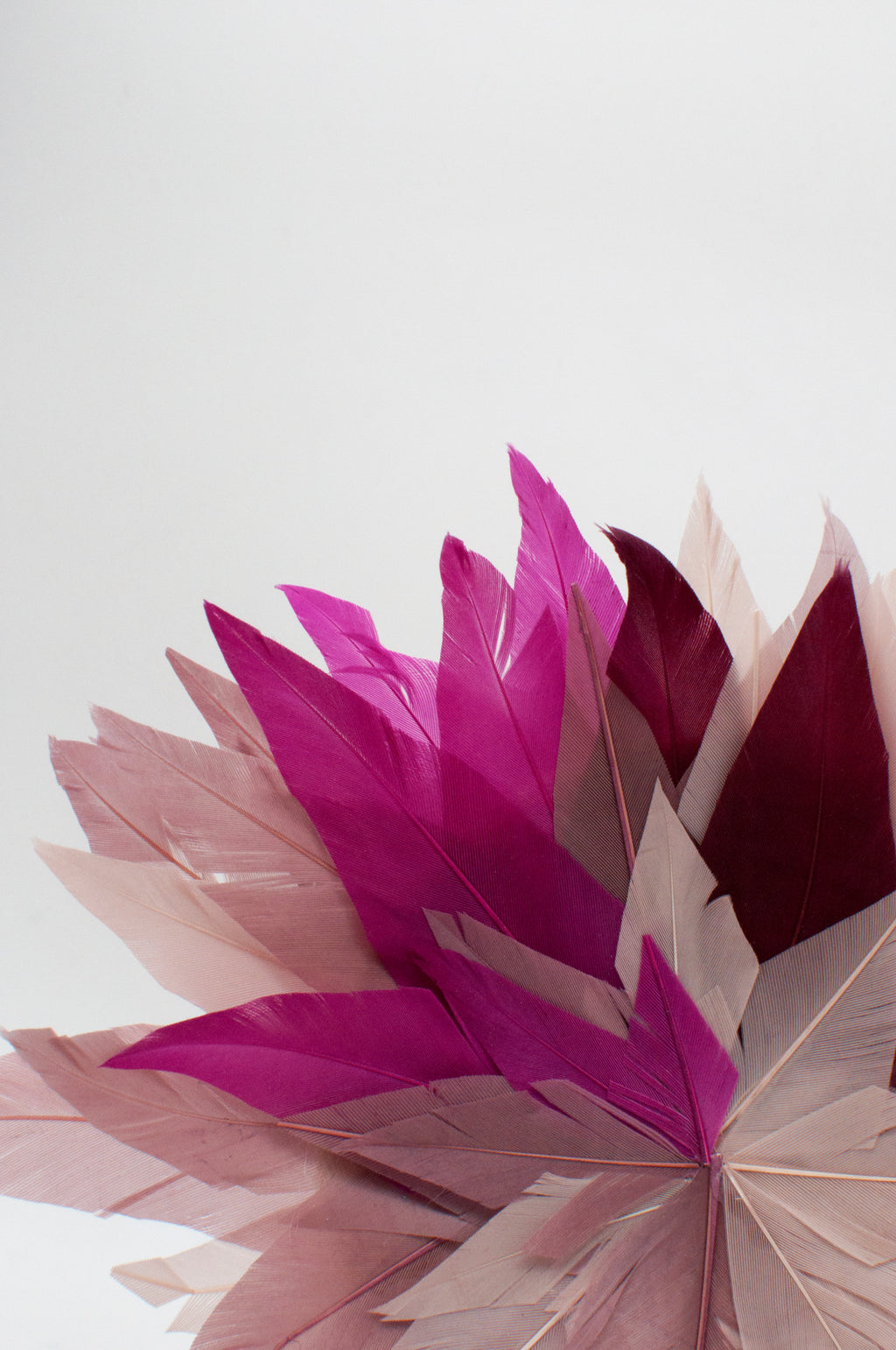 Fascinator - Dahlie image 2