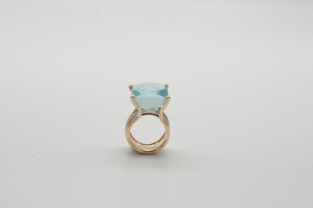 Ring Fischschwarm image 3