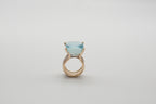 Ring Fischschwarm image 3