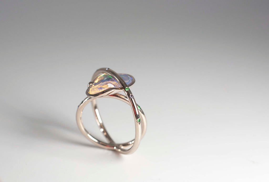 Ring Cosmic Dust - Cosmic Aurora