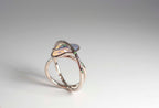 Ring Cosmic Dust - Cosmic Aurora