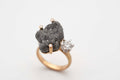Ring Cosmic Dust - Gewitterwolke