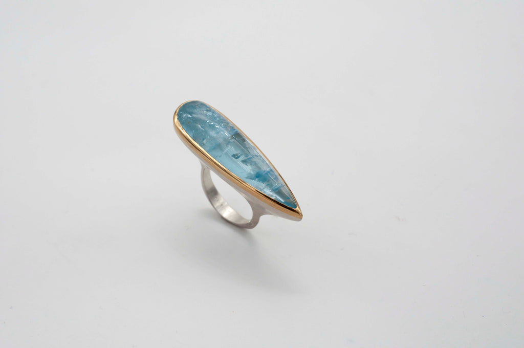 Ring - Ocean Voyager