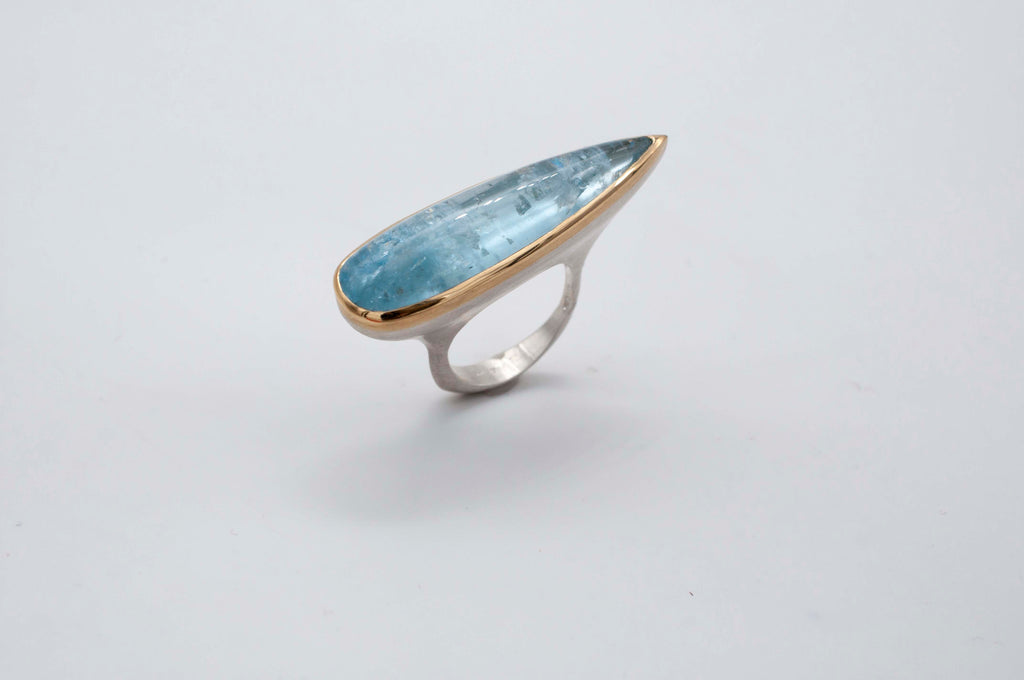 Ring - Ocean Voyager