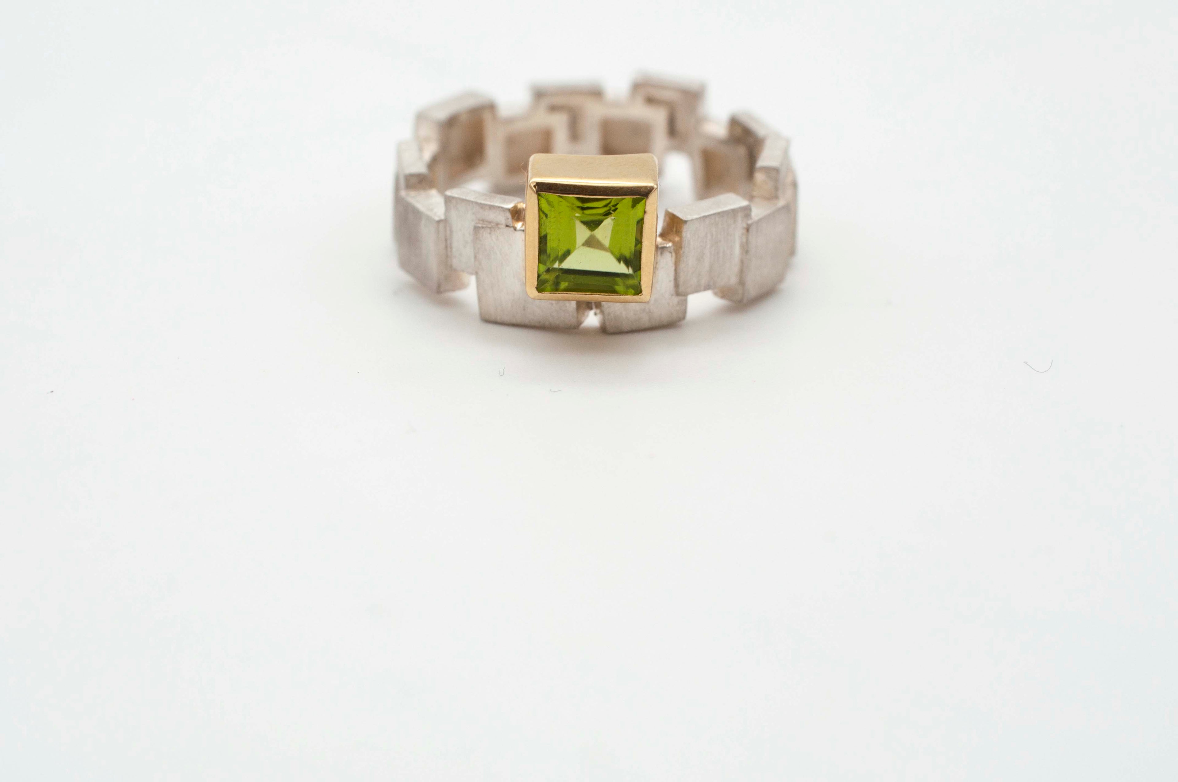 Ring Skyline - Dublin