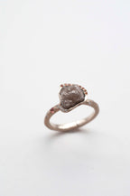 Ring Cosmic Dust - Andromeda