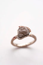 Ring Cosmic Dust - Andromeda