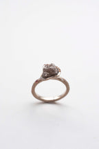 Ring Cosmic Dust - Andromeda