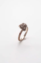 Ring Cosmic Dust - Andromeda