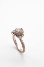 Ring Cosmic Dust - Andromeda