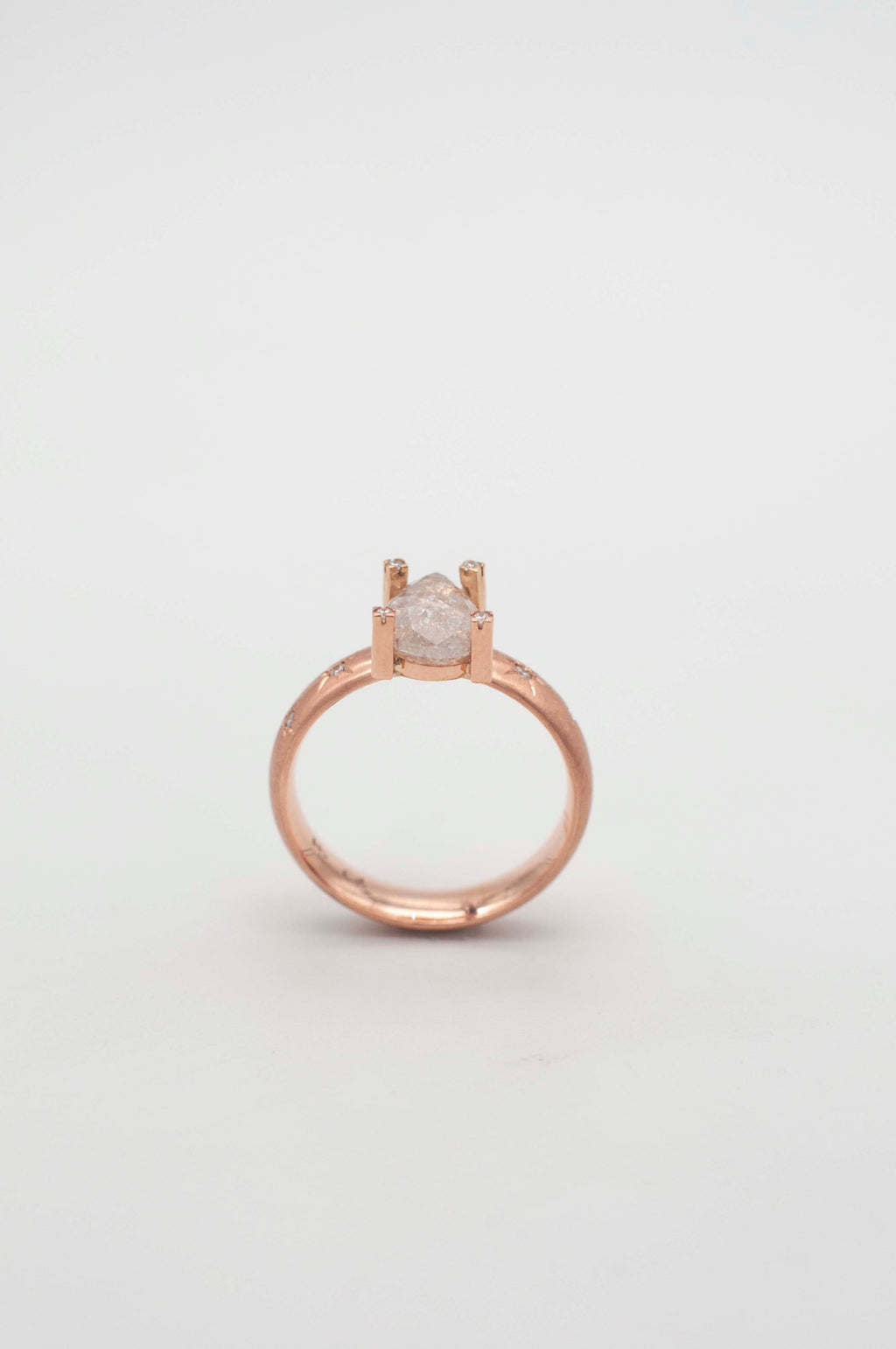 Ring Cosmic Dust - Starlight