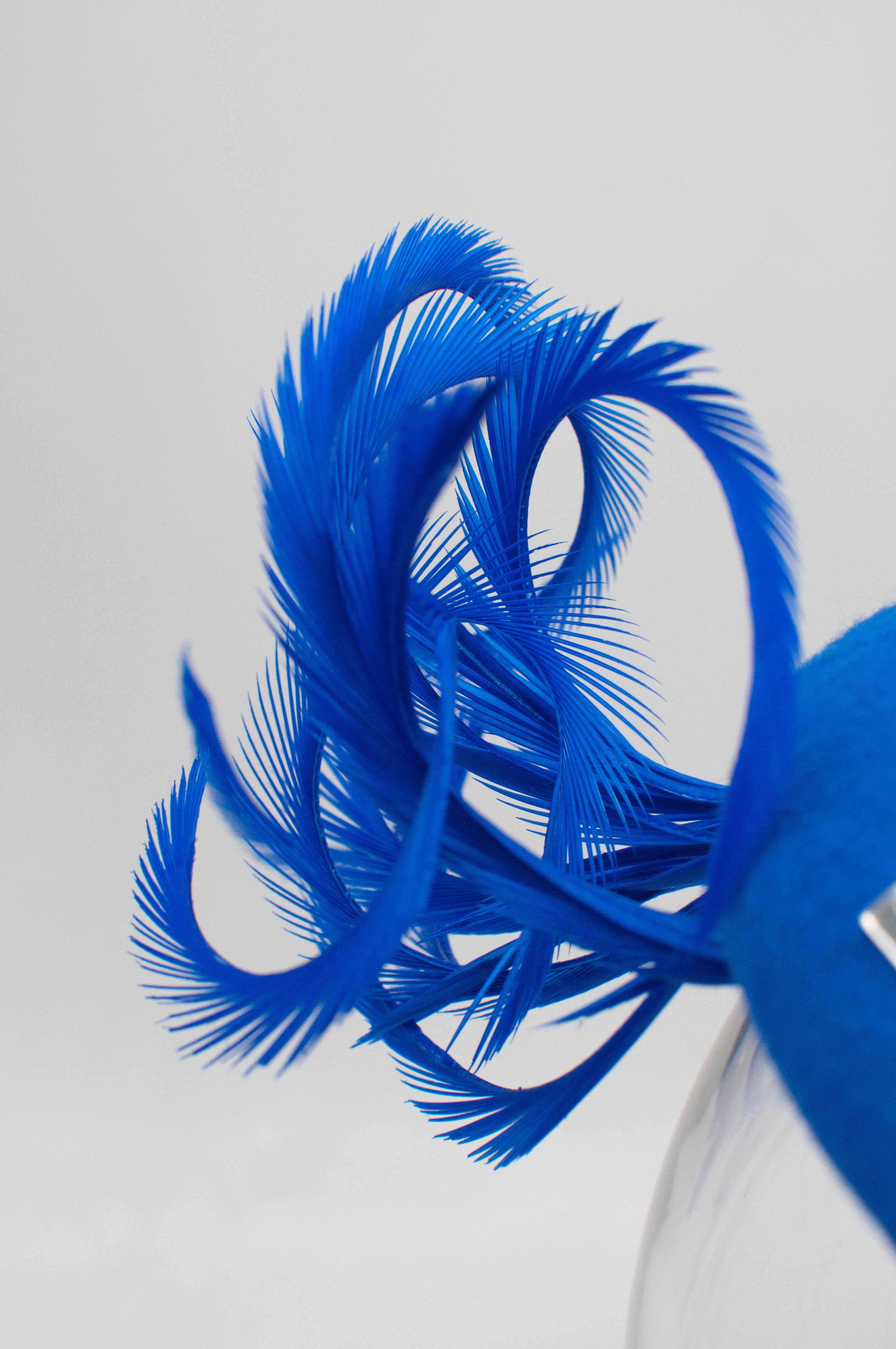 Fascinator - Qualle image 1