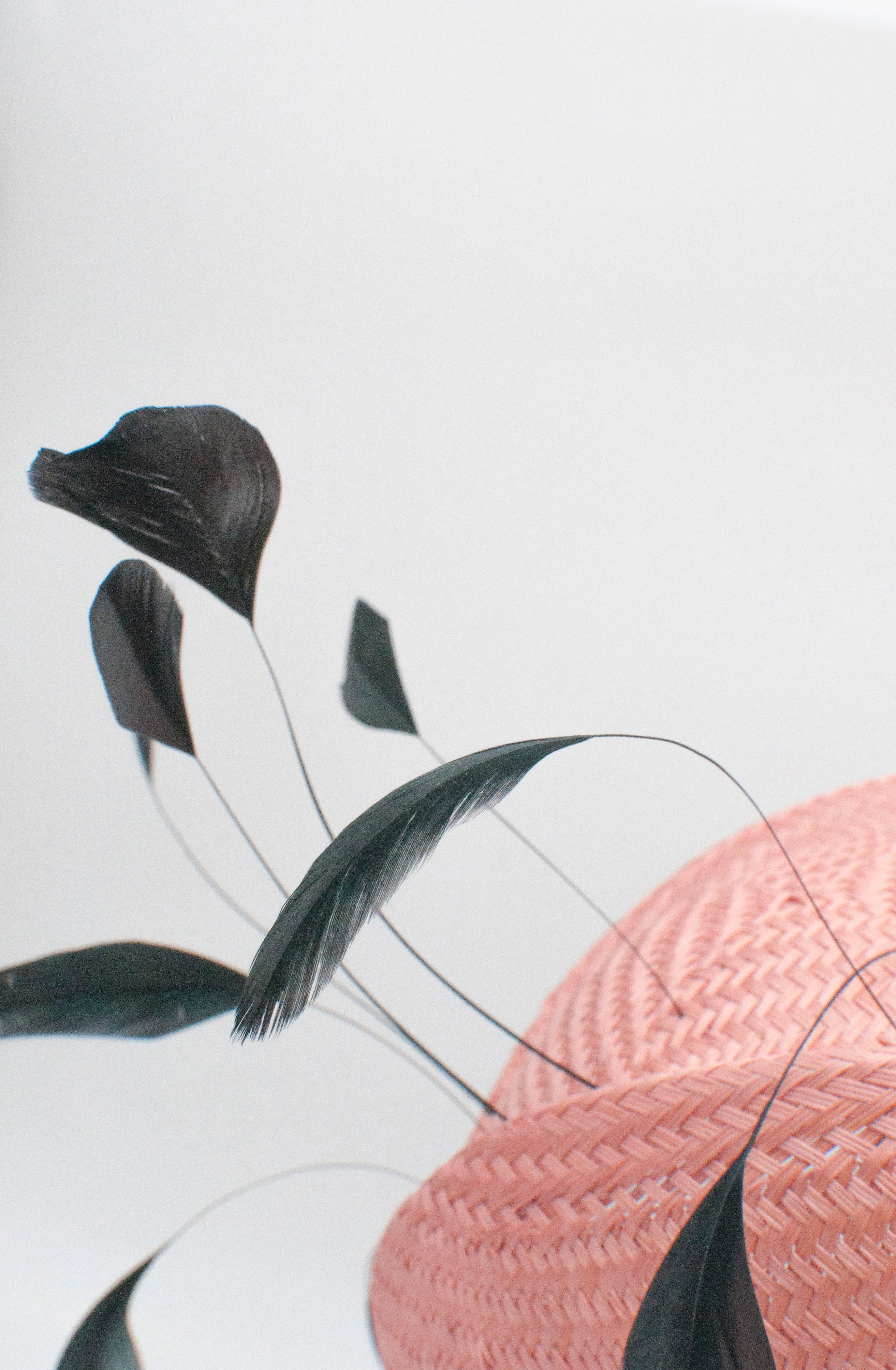 Fascinator - Hahnenschlappe image 1