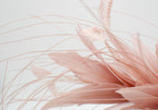 Fascinator - Federblüte image 4