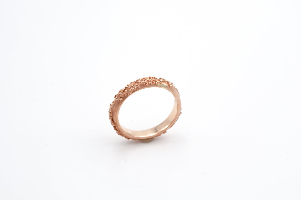 Ring Weltenbummler image 6